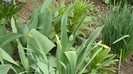 DSCN0658