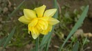 DSCN0660
