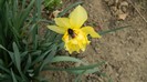 DSCN0662