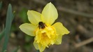 DSCN0665