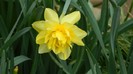 DSCN0666