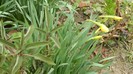 DSCN0668