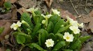 DSCN0670