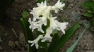 DSCN0674