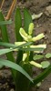 DSCN0675