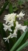DSCN0676