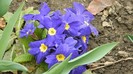 DSCN0679