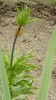 DSCN0689