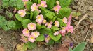 DSCN0708