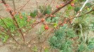 DSCN0710
