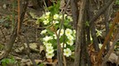 DSCN0721