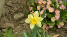 DSCN0738