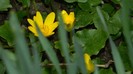 DSCN0741