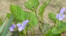 DSCN0743