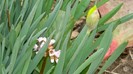 DSCN0747