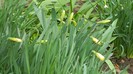 DSCN0748