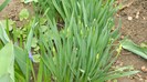 DSCN0753