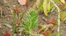 DSCN0758