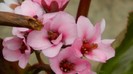 DSCN0766