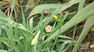 DSCN0777
