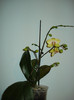 DSC01998