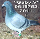 0645572.11.F GABY V