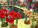 23.03.2012 o zi de vis 140