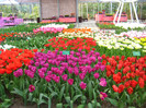 23.03.2012 o zi de vis 141