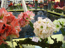 23.03.2012 o zi de vis 147
