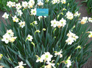 23.03.2012 o zi de vis 164