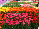 23.03.2012 o zi de vis 172
