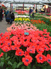 23.03.2012 o zi de vis 179