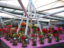 23.03.2012 o zi de vis 183