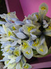 23.03.2012 o zi de vis 186