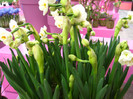 23.03.2012 o zi de vis 188