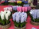 23.03.2012 o zi de vis 201