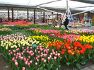23.03.2012 o zi de vis 207