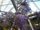 23.03.2012 o zi de vis 211
