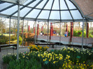 23.03.2012 o zi de vis 213