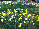 23.03.2012 o zi de vis 214