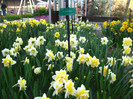 23.03.2012 o zi de vis 220