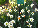23.03.2012 o zi de vis 223