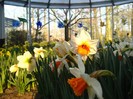 23.03.2012 o zi de vis 224