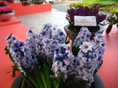 23.03.2012 o zi de vis 225