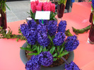 23.03.2012 o zi de vis 228
