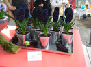 23.03.2012 o zi de vis 229