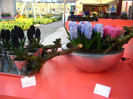 23.03.2012 o zi de vis 233