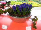 23.03.2012 o zi de vis 235