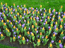 23.03.2012 o zi de vis 334