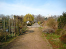 24.03.2012 in gradinile cartierului 007